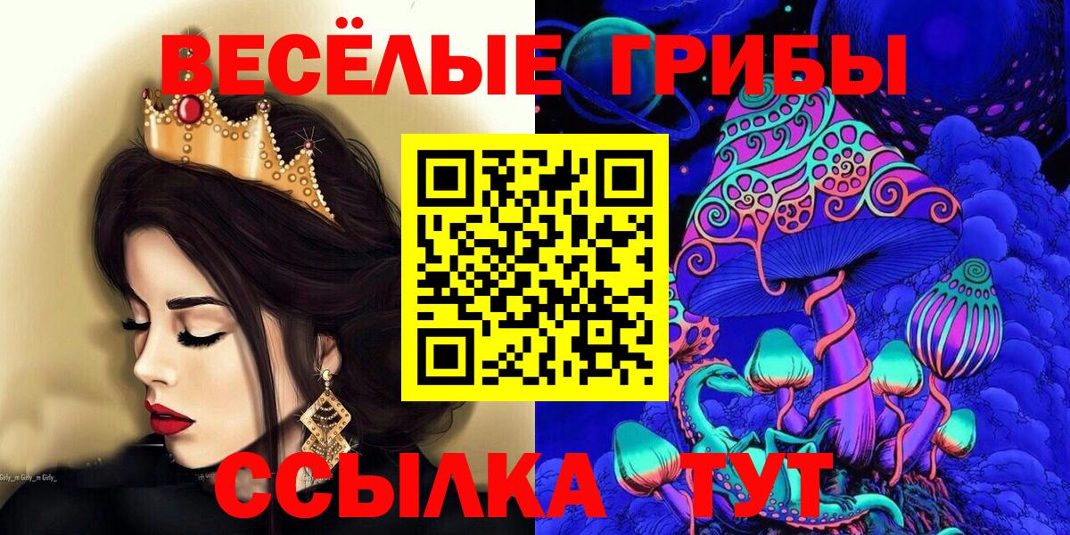 Псилоцибиновые грибы мицелий Славянск-на-Кубани