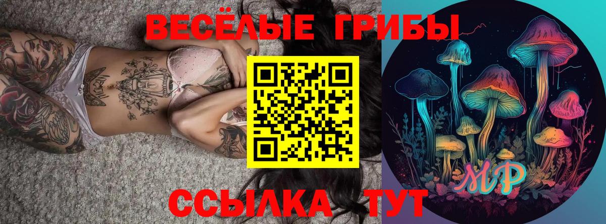 Галлюциногенные грибы MAGIC MUSHROOMS  Вход с VPN  Славянск-на-Кубани 